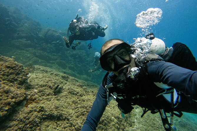From Abu Dhabi: 2 Dives for Certified Divers in Fujairah - Abu Dhabi Pickup, Mobile Ticket, and the Dates Market Reality Check