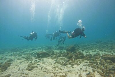 From Abu Dhabi: 2 Dives for Certified Divers in Fujairah - Certified Divers Only, With Guidance That Fits Different Levels