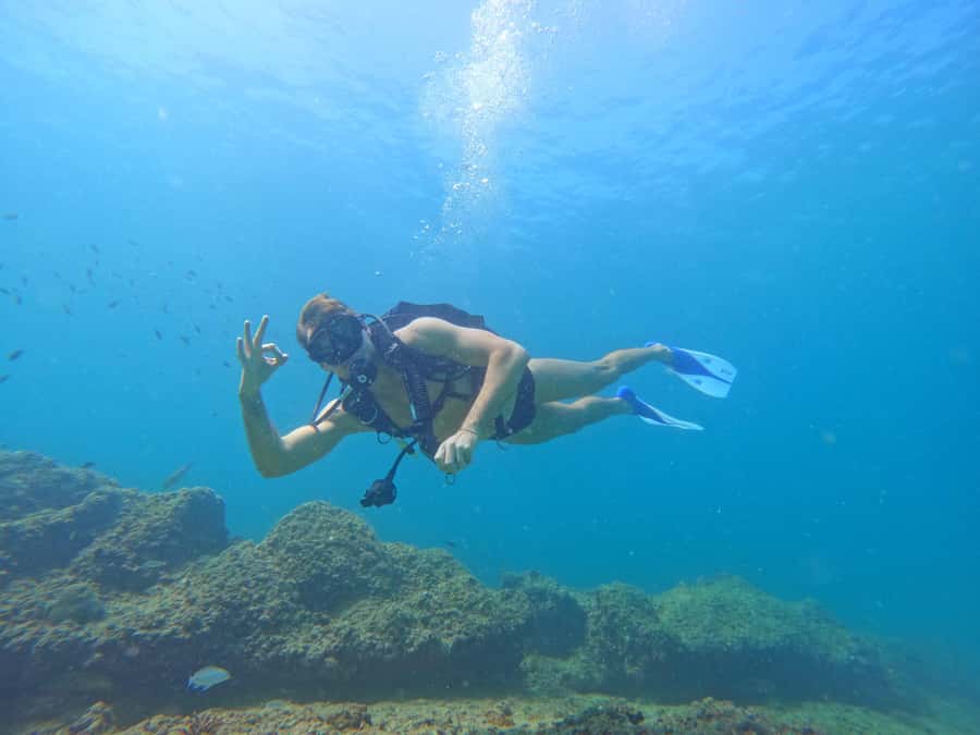 From Abu Dhabi: Scuba Dive and Snorkeling with BBQ, Transfer - Key Highlights Worth Marking on Your Plan