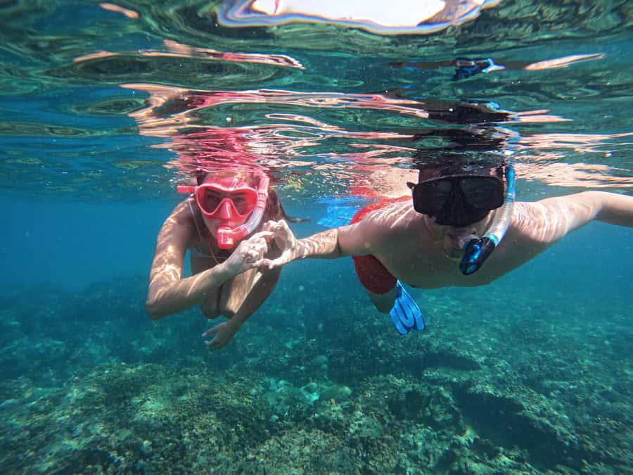 From Abu Dhabi: Scuba Dive and Snorkeling with BBQ, Transfer - Reef Oasis Base Lunch: BBQ Tikka Chicken and Tikka Meat with a Real Reset