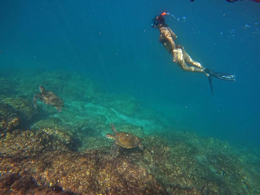 From Abu Dhabi: Scuba Dive and Snorkeling with BBQ, Transfer - Khorfakkan Amphitheatre and Waterfalls: A Quick Land Check Before the Return