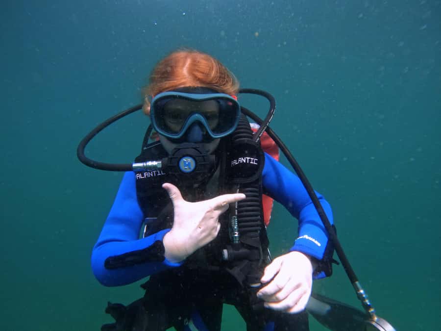 From Abu Dhabi: Scuba Dive and Snorkeling with BBQ, Transfer - Snoopy Island: Boat Cruise + Snorkeling and Your First Scuba Session