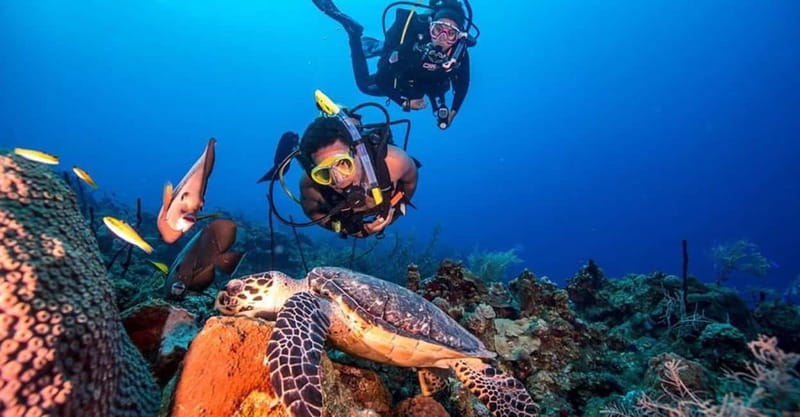 From Alanya: Scuba Diving Tour with Hotel Transfers - Key highlights that matter before you go