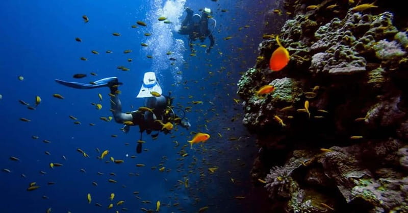 From Alanya: Scuba Diving Tour with Hotel Transfers - Price and value: is $70 worth it from Alanya?