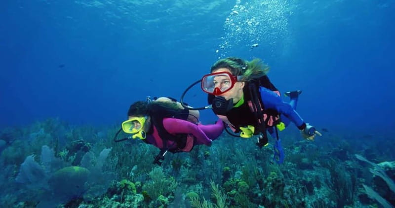 From Alanya: Scuba Diving Tour with Hotel Transfers - Getting ready for the water: gear checks, safety steps, and hand signals