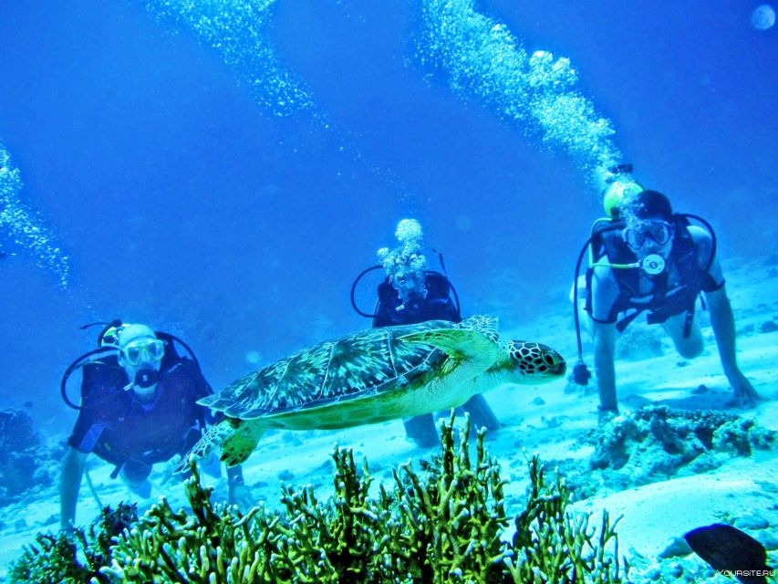 From Antalya| Kemer: Diving Tour with Experienced Instructor - Hotel pickup to marina: the smooth start (and the one thing to watch)