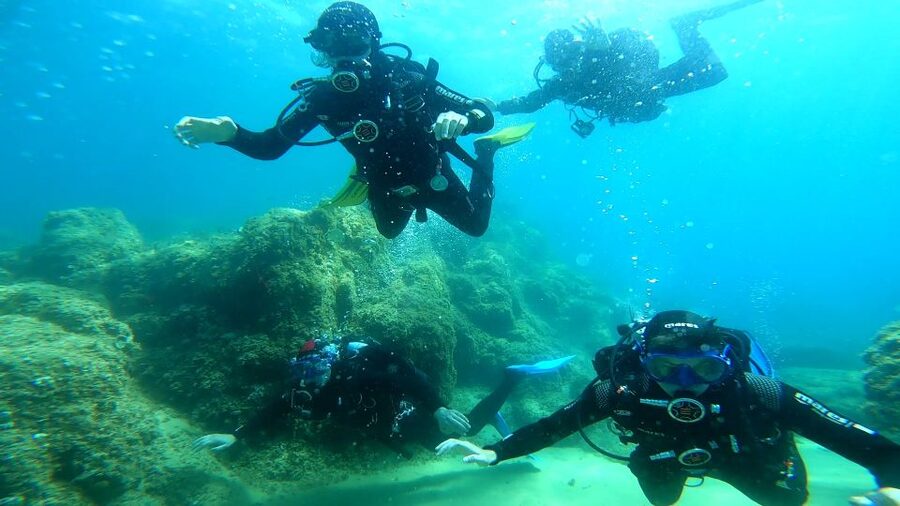 From Barcelona: Tossa de Mar Scuba Diving and 3-Course Meal - Sea-view Mediterranean lunch in Tossa: where fuel matters