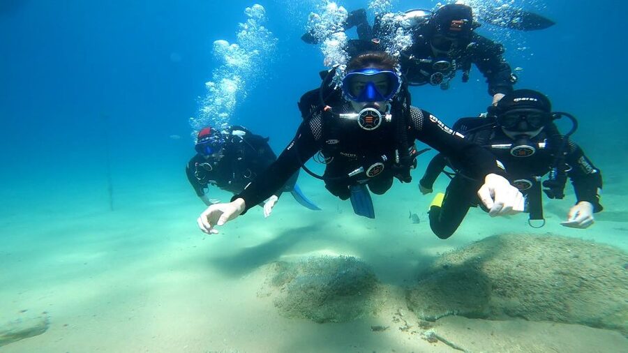 From Barcelona: Tossa de Mar Scuba Diving and 3-Course Meal - Who this tour is best for (and who should skip it)