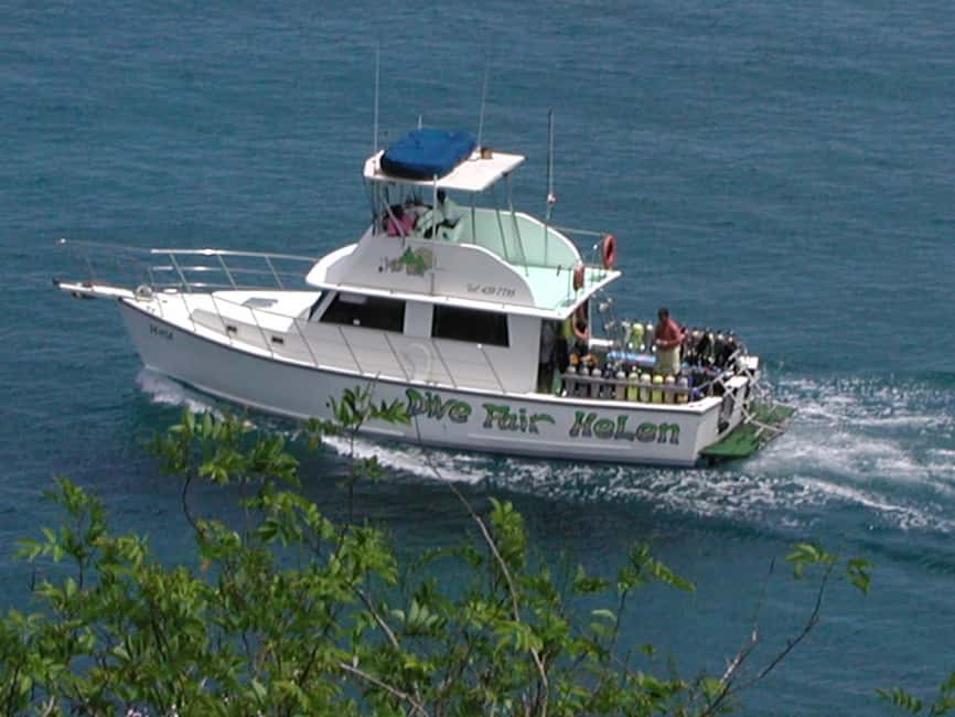 From Castries: St. Lucia Scuba Diving Excursion - Castries Pickup to the West Coast Marine Reserve in One 5-Hour Window