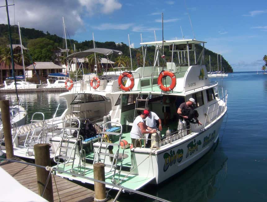 From Castries: St. Lucia Scuba Diving Excursion - Who This 5-Hour Underwater Plan Fits Best