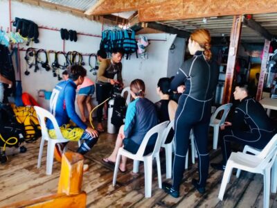 From Cebu City: Scuba Diving with Whale Sharks Trip in Oslob - Oslob whale sharks: what makes this encounter special