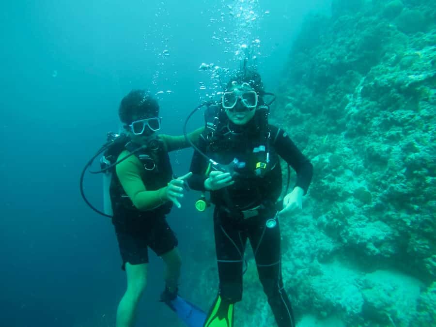 From Cebu City: Scuba Diving with Whale Sharks Trip in Oslob - Why scuba can feel calmer than surface snorkeling at Oslob