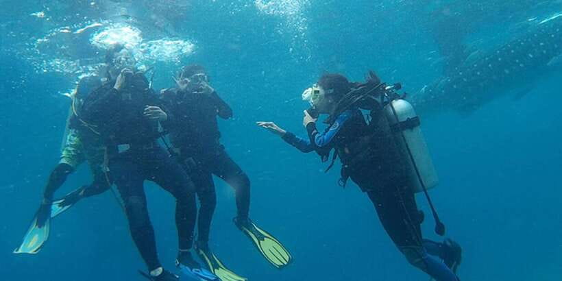 From Cebu City: Scuba Diving with Whale Sharks Trip in Oslob - Price and value: is $172 per person fair?