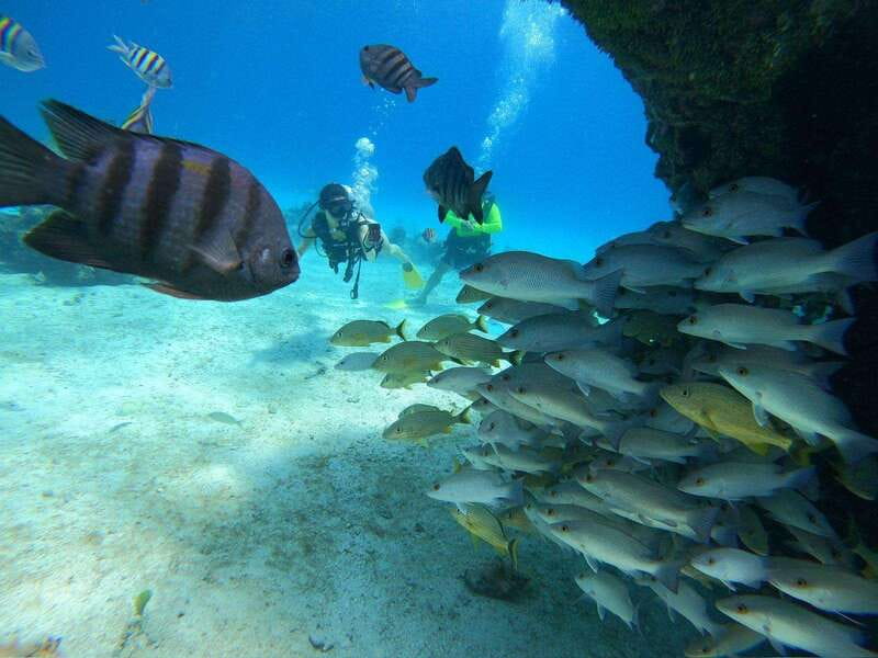 From Cozumel: Chankanaab Cozumel Scuba Diving - Key things to know before you go