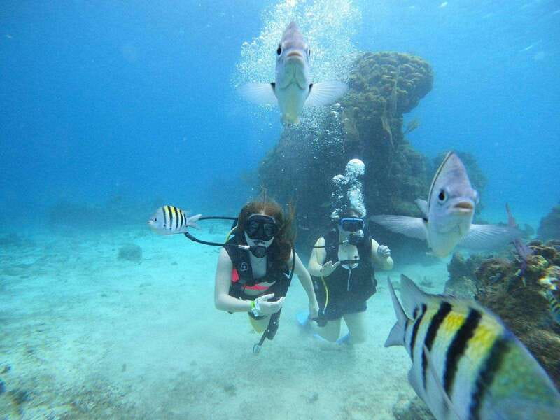From Cozumel: Chankanaab Cozumel Scuba Diving - The total park experience after your underwater time