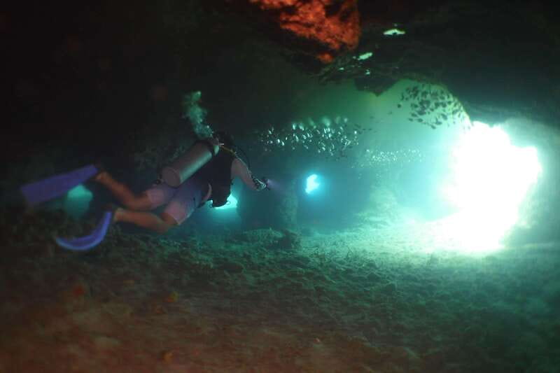 From Cozumel: Chankanaab Cozumel Scuba Diving - Who this is for, and who should skip it