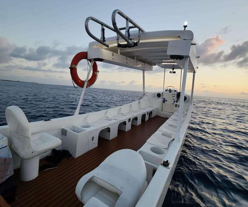 From Cozumel: Double Tank Scuba Diving for Certified Divers - Key highlights at a glance
