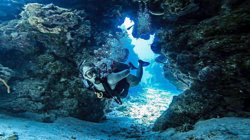 From Cozumel: Double Tank Scuba Diving for Certified Divers - First underwater tank session: safety briefing, marine life, and 45 minutes of reef time