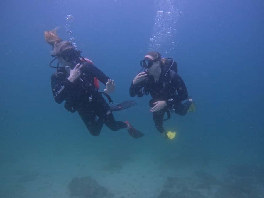 From Dubai: 2 Dives for Certified Divers with BBQ & Transfer - The two SCUBA sessions: what you’re really paying for