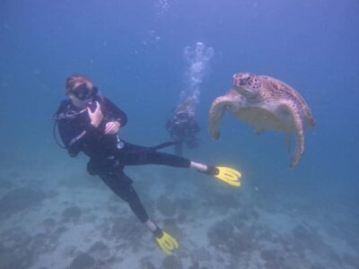From Dubai: 2 Dives for Certified Divers with BBQ & Transfer - Timing and route: Dubai pickup, Fujairah water time, and the Khorfakkan ride