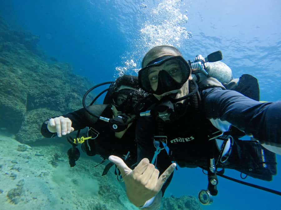 From Dubai: 2 Dives for Certified Divers with BBQ & Transfer - Reef Oasis scuba center and the boat comfort you’ll notice early