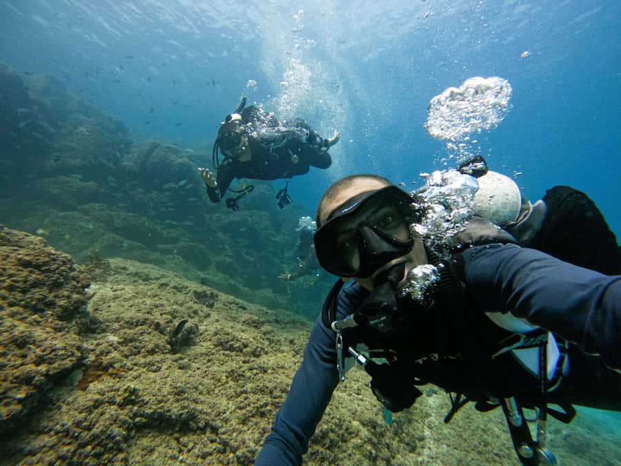 From Dubai: 2 Dives for Certified Divers with BBQ & Transfer - Marine life highlights: how to spot more than you expect