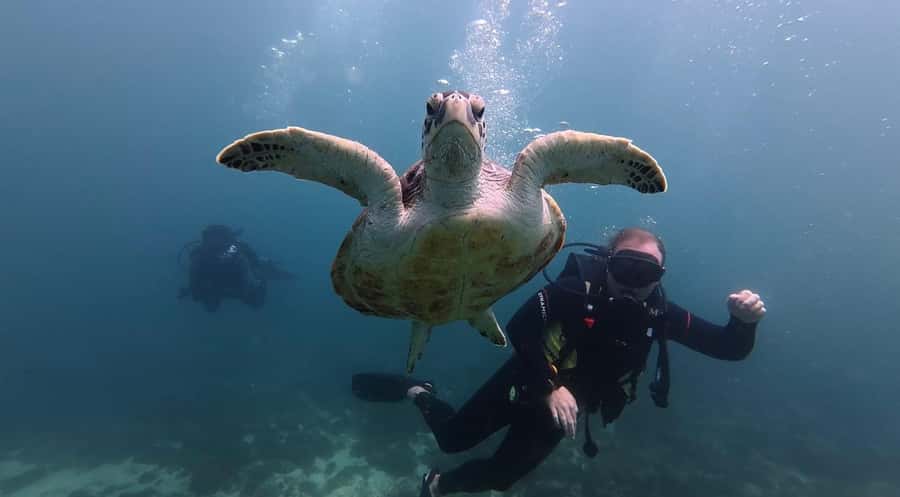 From Dubai: Discovery Scuba Diving & Snorkeling In Fujairah - Should You Book This Fujairah Scuba Try Session?