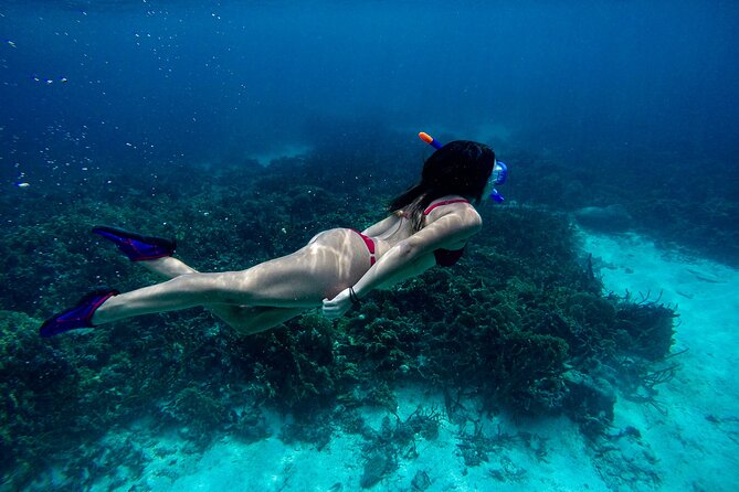 From Dubai: Discovery Scuba Diving & Snorkeling trip in Fujairah - From Dubai to Dibba: the Fujairah day trip setup