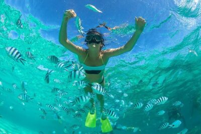 From Dubai: Discovery Scuba Diving & Snorkeling trip in Fujairah - One underwater session near Dibba: corals and fish at your pace