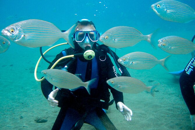 From Dubai: Discovery Scuba Diving & Snorkeling trip in Fujairah - Weather and visibility: what can change on the day