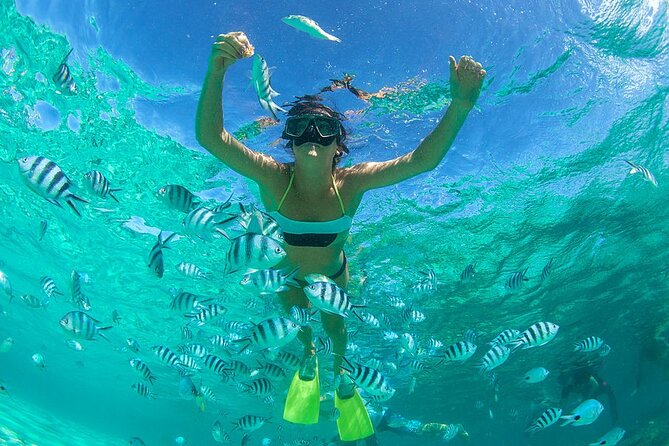 From Dubai: Discovery Scuba Diving & Snorkeling trip in Fujairah - One underwater session near Dibba: corals and fish at your pace