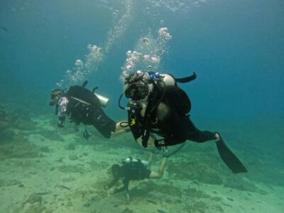 From Dubai: Dive and Stay 5-Dives Trip with BBQ, Transfers - From Dubai Hotel to Fujairah Water: How the Logistics Hold Up