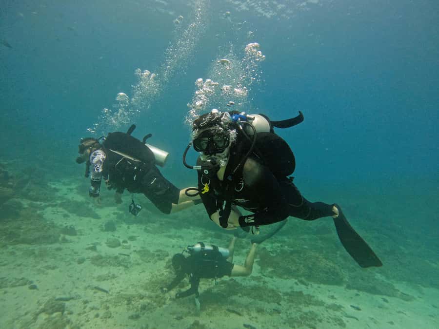 From Dubai: Dive and Stay 5-Dives Trip with BBQ, Transfers - From Dubai Hotel to Fujairah Water: How the Logistics Hold Up