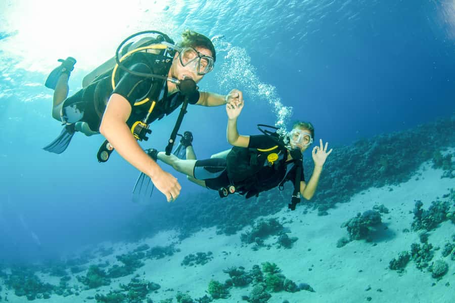From Dubai: Fujairah Half-Day Scuba Dive and Snorkeling - The real draw: Fujairah’s reefs feel closer than you expect