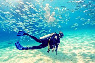 From Dubai: Fujairah Half-Day Scuba Dive and Snorkeling - Early pickup from Dubai: leaving fast is part of the bargain
