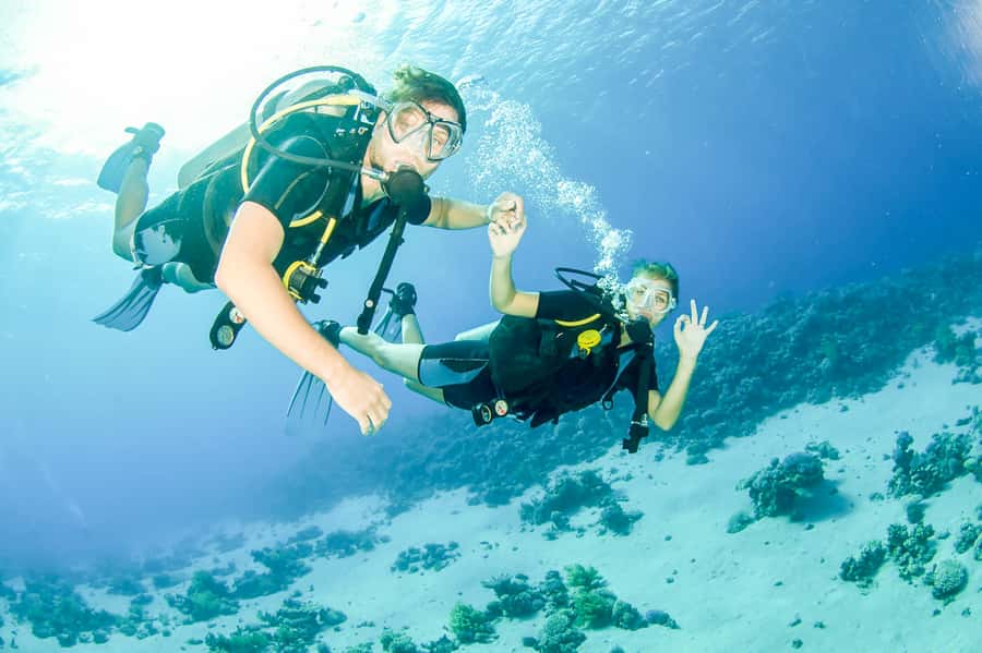 From Dubai: Fujairah Scuba Dive and Snorkeling - Key things to know before you go