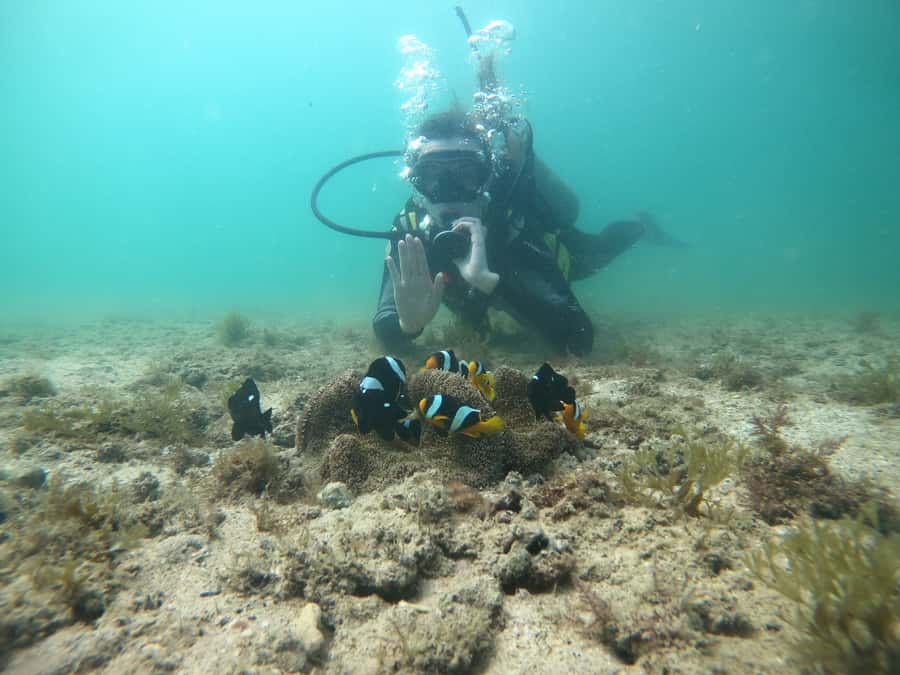 From Dubai: Fujairah Scuba Dive and Snorkeling - Boat comforts that make the day feel easier than you expect
