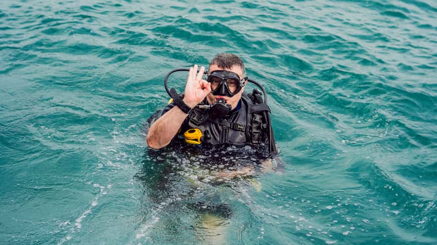 From Dubai: Fujairah Scuba Dive and Snorkeling - Price and value: is $157 per person worth it?