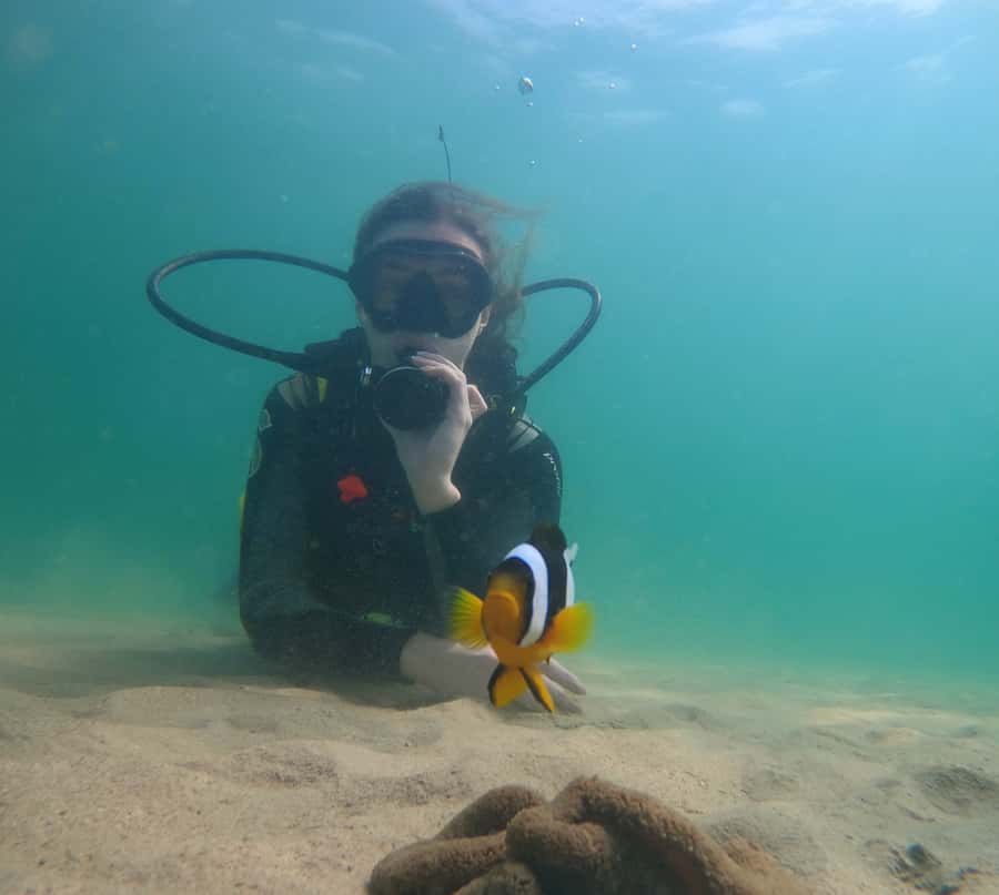 From Dubai: Fujairah Scuba Dive and Snorkeling - Who this tour is best for (and who should skip it)