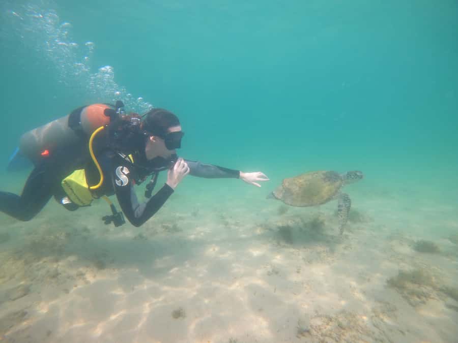 From Dubai: Fujairah Scuba Dive and Snorkeling - Should you book Fujairah scuba and snorkeling from Dubai?