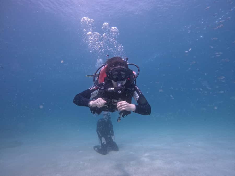 From Dubai: Try Scuba Diving, Snorkeling with BBQ & Transfer - Key Points Worth Noticing