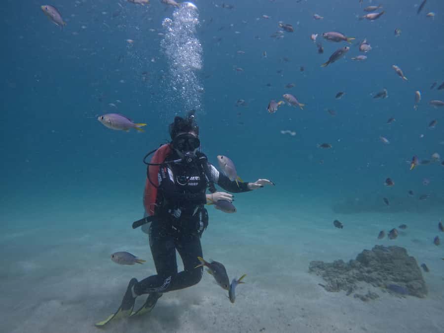 From Dubai: Try Scuba Diving, Snorkeling with BBQ & Transfer - Snoopy Island and Sharm Rocks: Reef Time With a Real Plan
