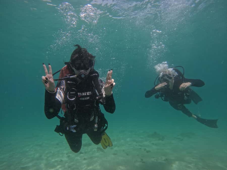 From Dubai: Try Scuba Diving, Snorkeling with BBQ & Transfer - Reef Oasis Club Lunch: BBQ, Showers, and the Reset Moment
