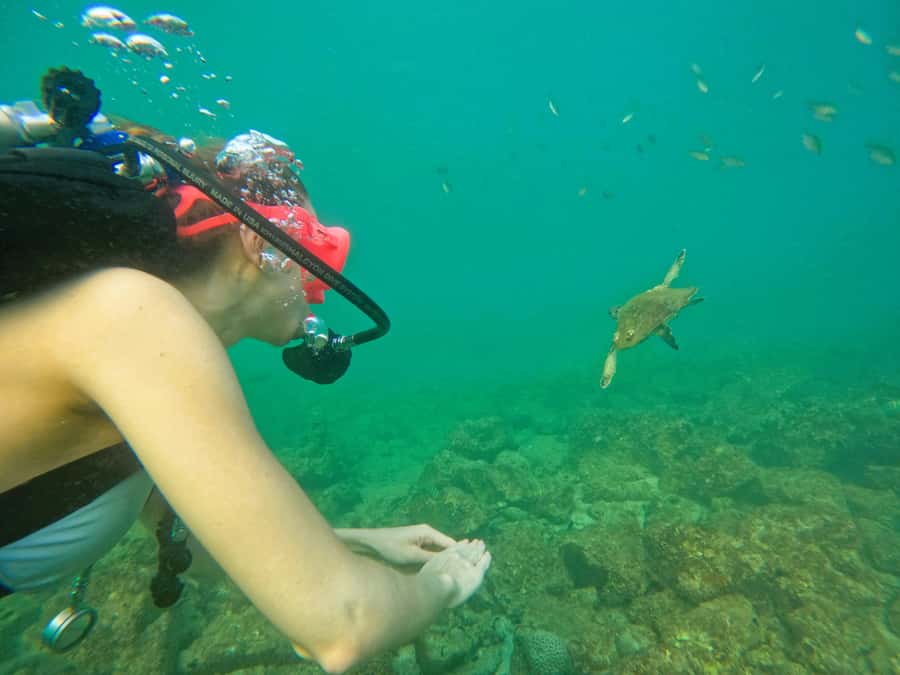 From Dubai: Try Scuba Diving, Snorkeling with BBQ & Transfer - Languages, Photos, and the Little Details That Make It Easier