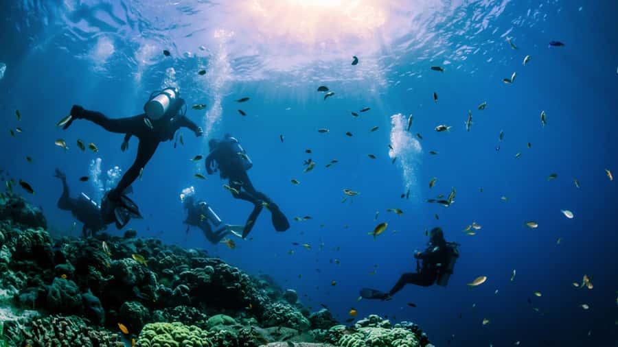 From Hurghada: Scuba Diving with Expert Guide & 2 Dives - Two Underwater Sessions at Hurghada’s Classic Sites