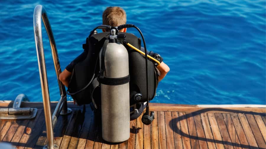 From Hurghada: Scuba Diving with Expert Guide & 2 Dives - Marine Life Odds: Dolphins, Turtles, Rays, and More