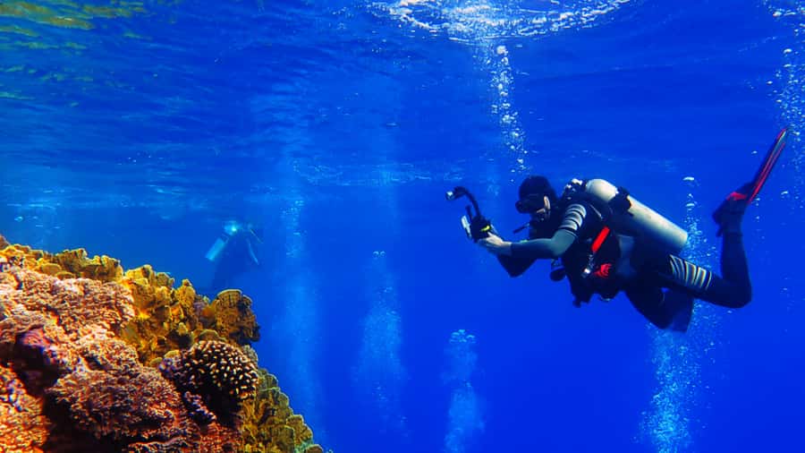 From Hurghada: Scuba Diving with Expert Guide & 2 Dives - Food, Soft Drinks, and the $88 Value Math
