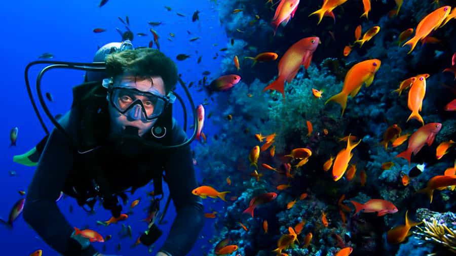 From Hurghada: Scuba Diving with Expert Guide & 2 Dives - Photographer Presence and What It Means for Your Day