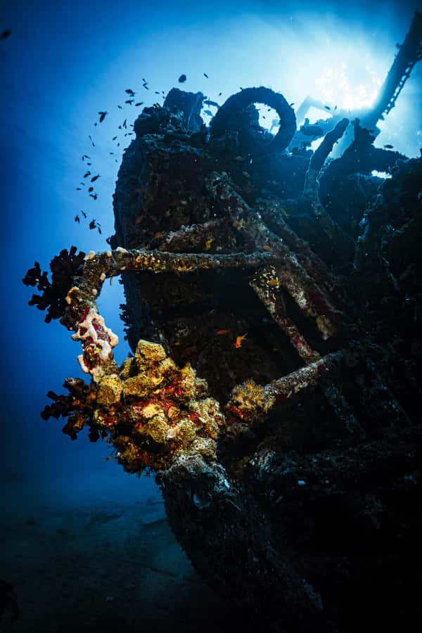 From Jeddah: Boat Trip and Diving for Certified Divers - Guides and communication: what the multilingual setup should mean for you