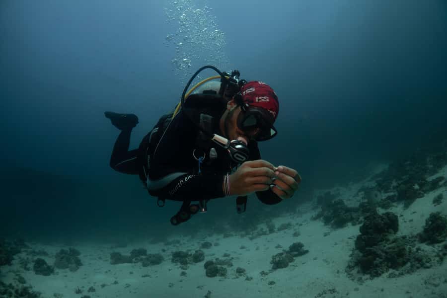From Jeddah: Boat Trip and Diving for Certified Divers - Price and value: is $93 a good deal?